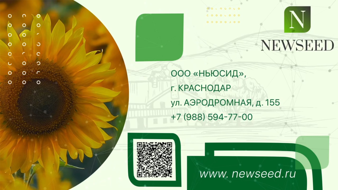 NEWSEED
